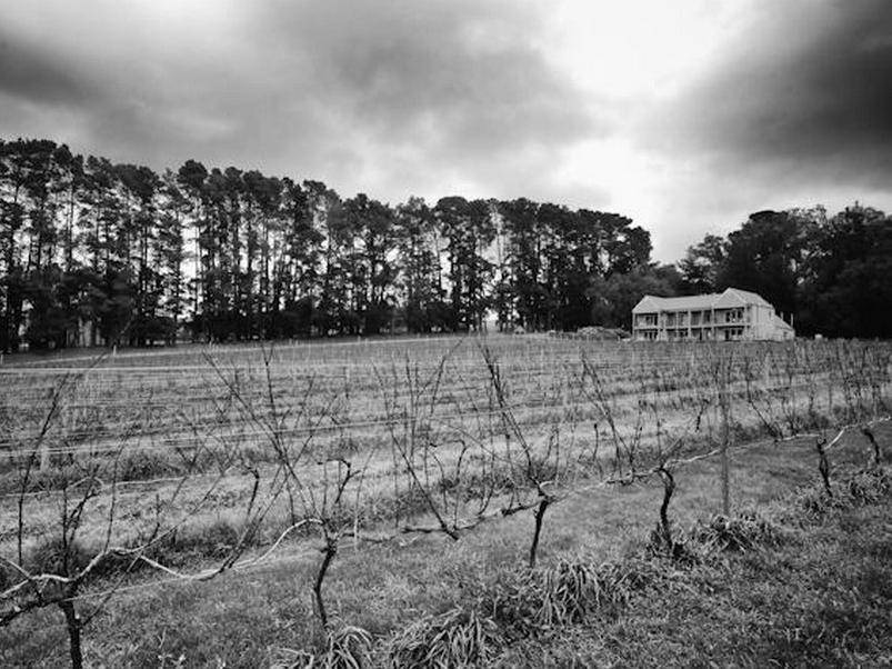 Shoreham Bed & Breakfast | 17 m² Bed and breakfast ∙ 127 guests