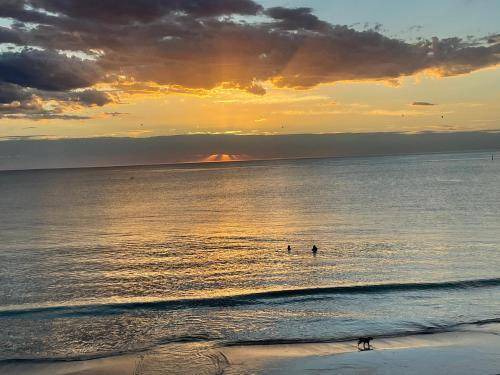 Glenelg North Apartment | 30 m² Apartment ∙ 1 bedroom ∙ 2 guests