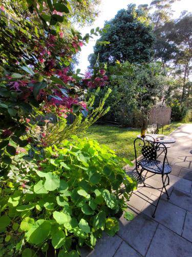 New Lambton Heights Apartment | 32 m² Apartment ∙ 1 bedroom ∙ 2 guests