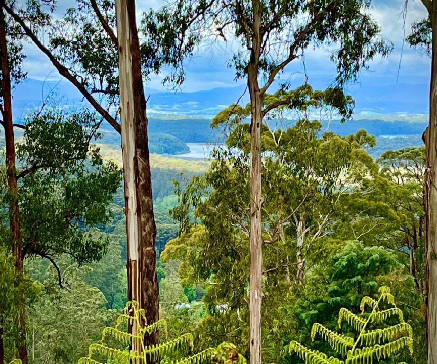 Kalorama House | 3997 m² House ∙ 3 bedrooms ∙ 7 guests