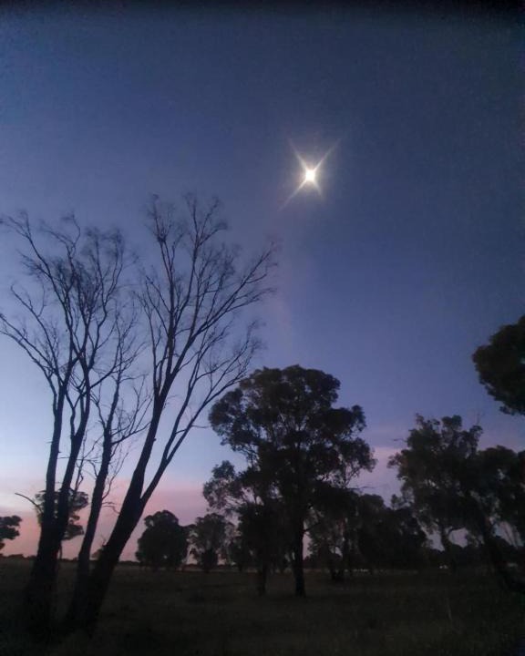 Stockinbingal Other | 5 Star Off Grid Farm Retreat
