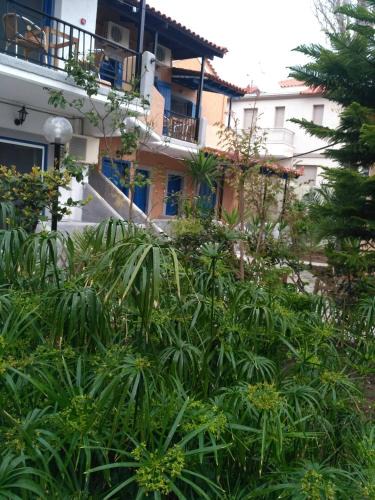 Skala Mistegnon Apartment | 9 Musses Hotel Apartments
