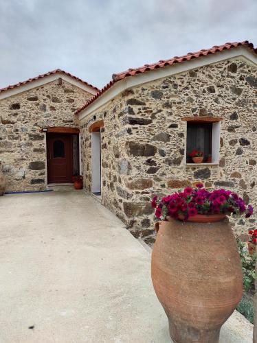 Milia House | Alexander's cottage