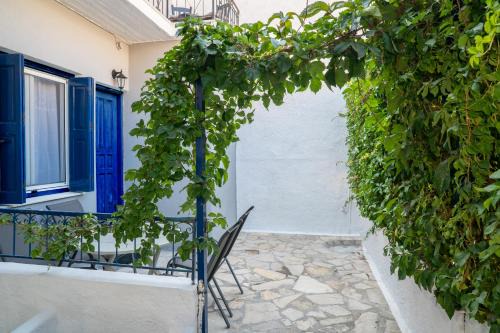 Pythagorio Apartment | Alkmini's