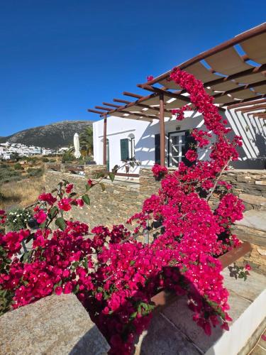 Apollonia Apartment | Apollon-Artemis Apartments
