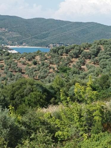 Pirgadikia Hotel | Art Hotel Panorama