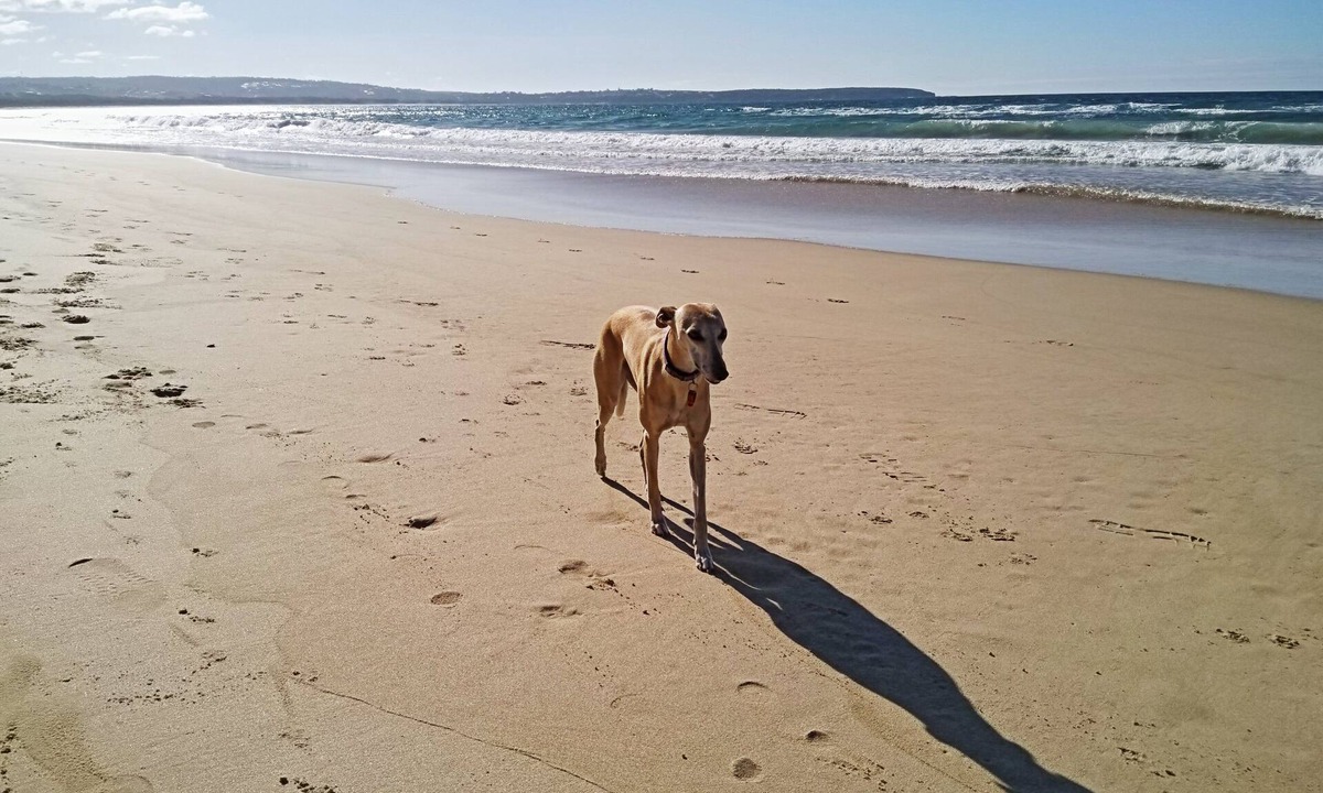 Merimbula Apartment | Beachcomber: Unit 3 (Upstairs)