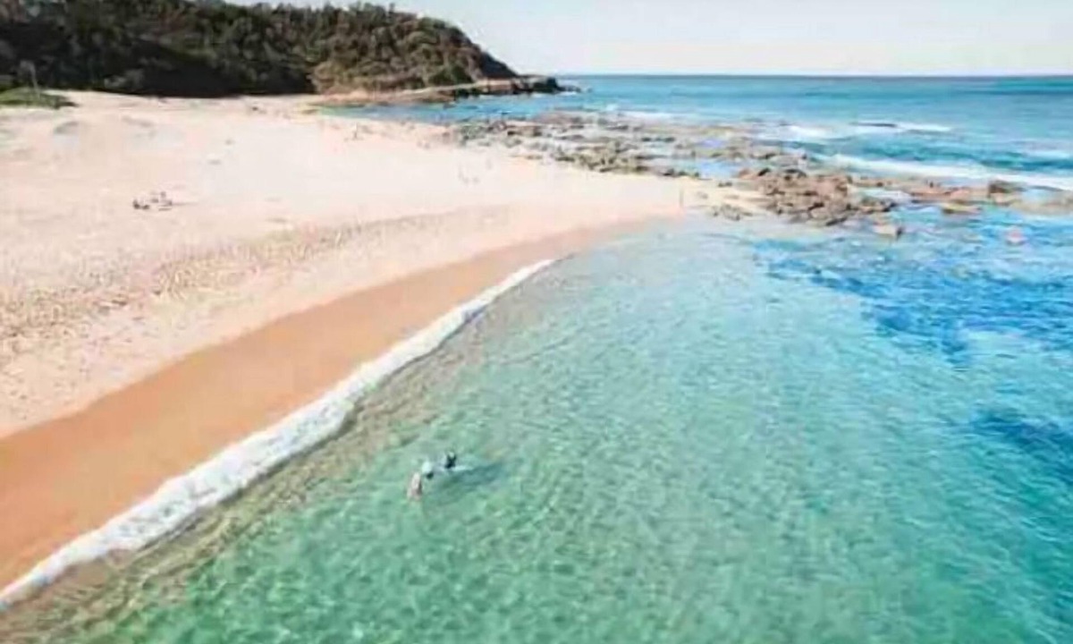 Wamberal Apartment | Beachside cabin + solar heated pool @ Spoon Bay