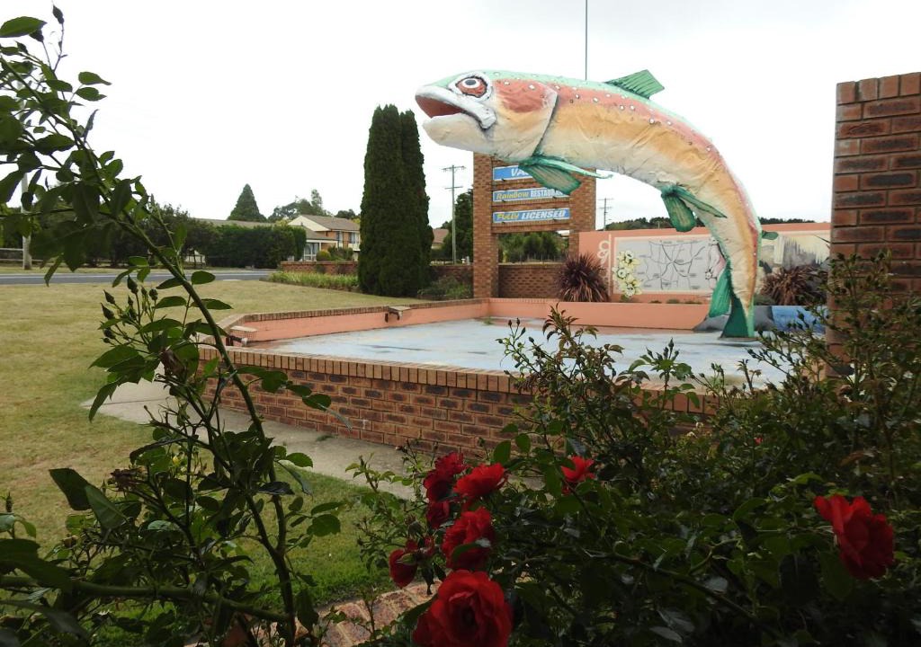 Oberon Hotel | Big Trout Motel