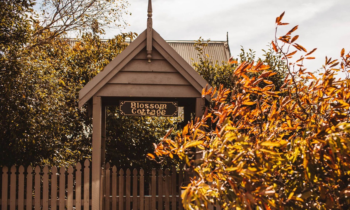 Blackheath Cottage | Blossom Cottage Blackheath couples family friendly gas log fire bush walks cafes