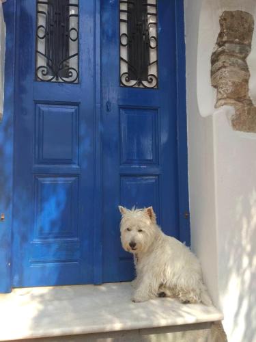 Galini House | Blue & White: An Absolute Aegean dream house