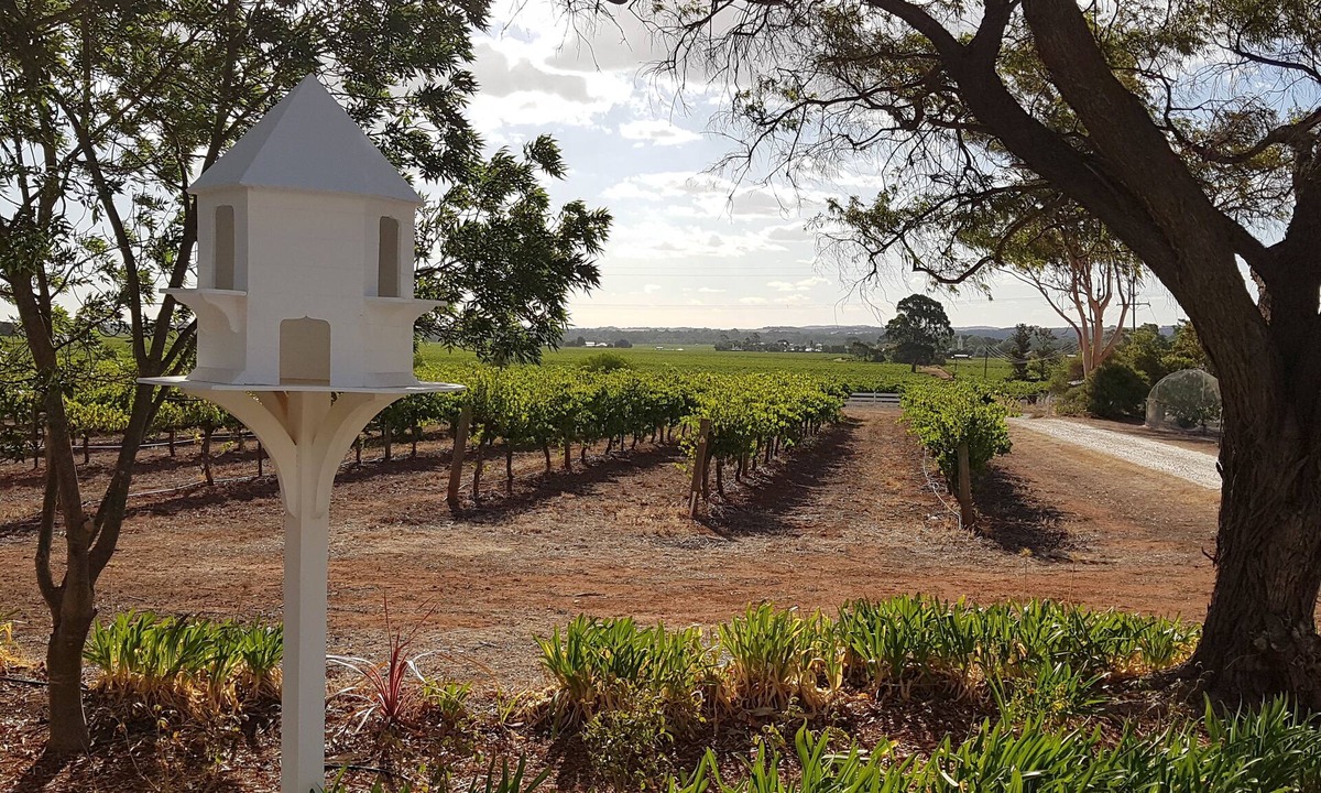 Penrice Cottage | Boutique accommodation peacefully set amongst you're own private vineyard
