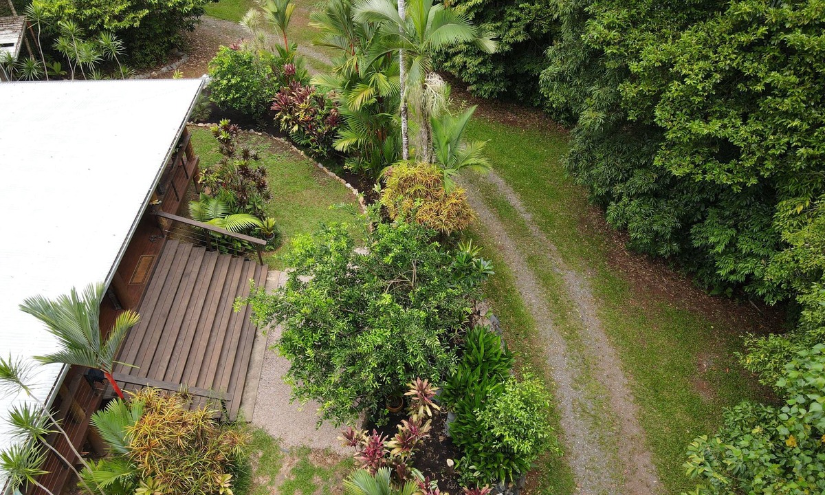Cow Bay House | Bowenia Daintree Rainforest Retreat