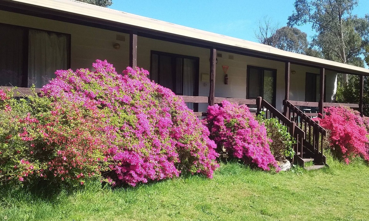 Emerald Park | Jamieson