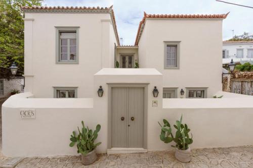 idhra Hotel | Cactus Hydra - Art Apartments