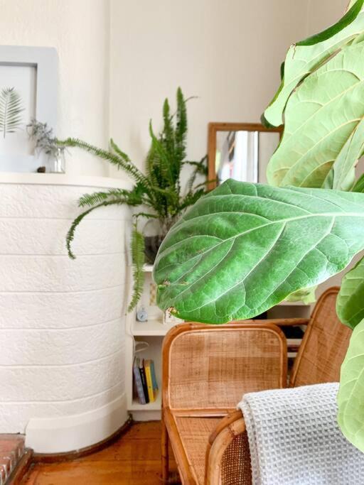 Petersham Apartment | Comfortable Studio Gem in the heart of Petersham