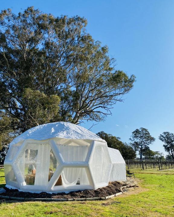 Comaum Other | Coonawarra Hampton Bubble 2