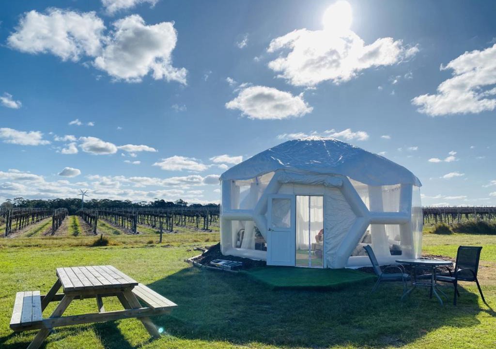 Comaum Other | Coonawarra Hampton Bubble 1