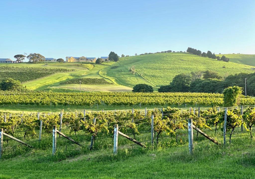 Willow Vale House | Crooked River Wines Estate House, Gerringong