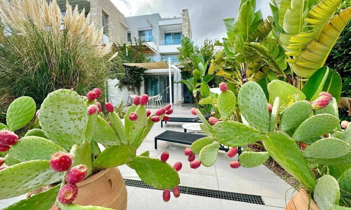 Rethymno Apartment | Deluxe Junior Suite - Made of Blue Luxury Suites Colection