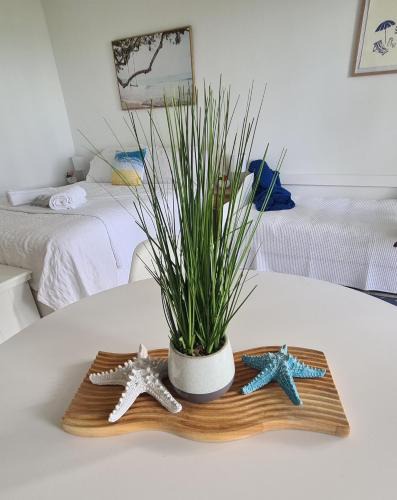 Dolphin Heads Apartment | Dolphin Heads - Resort Unit - Absolute Beachfront! - Whitsunday Getaway!