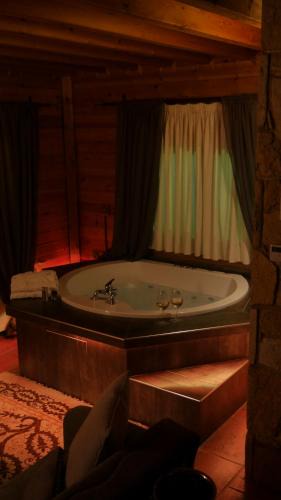 Synikia Mesi Trikalon House | Dryades Suites