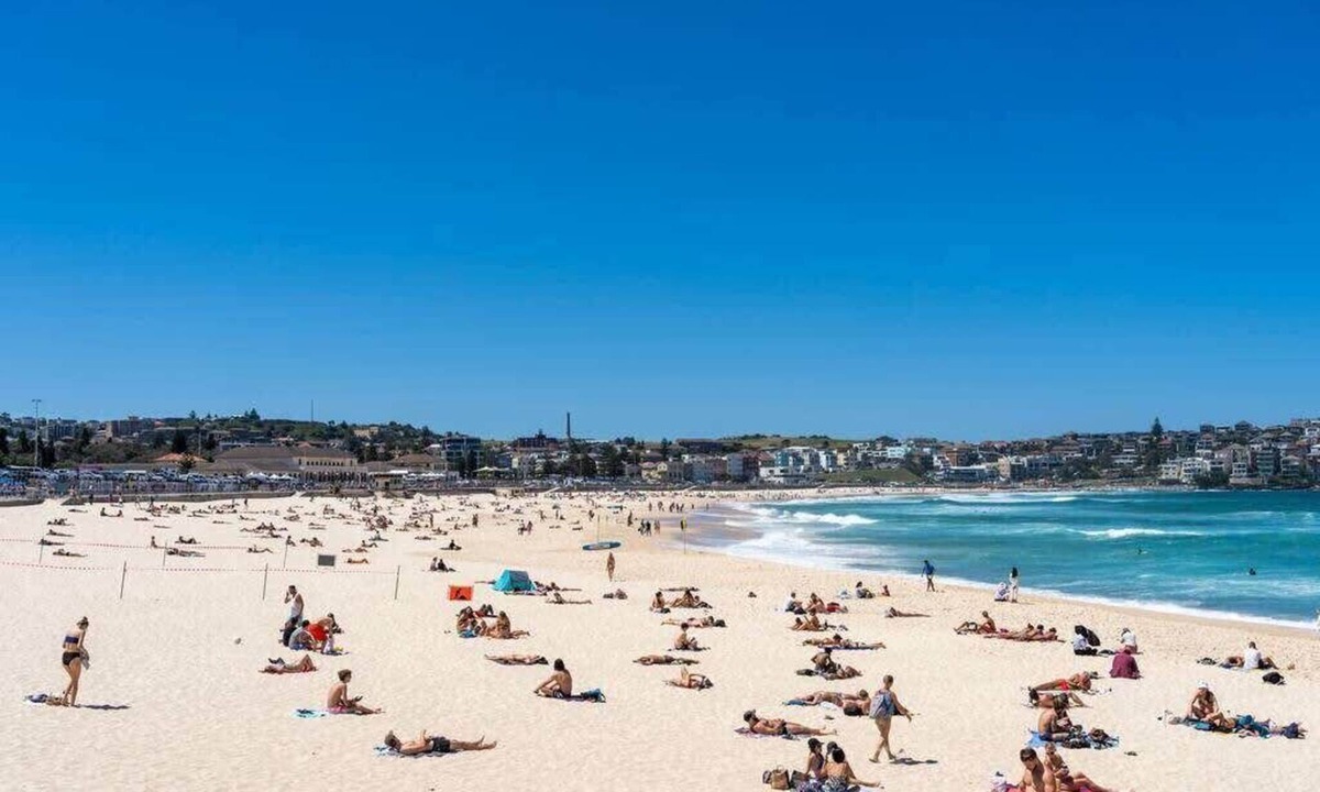 Bondi Apartment | Edward Escape - New Listing | Short Walk to Beach
