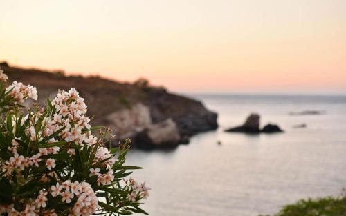 Abela Hotel | Elefthia Syros - Luxury Houses & Suites