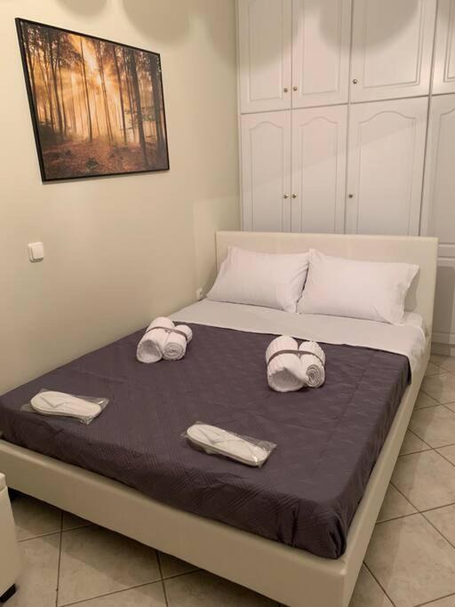 Elliniko-Argyroupoli Apartment | Elite Apartment 3