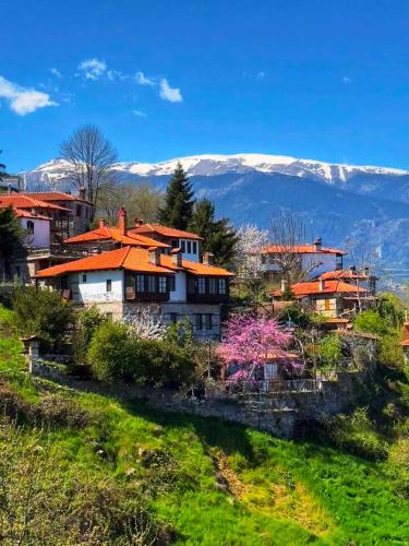 Panteleimon House | Feggaropetra Inn Magic Mountain House