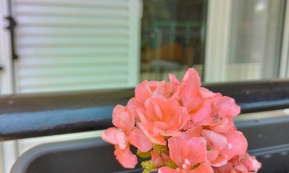 Kalamata Apartment | Nice and cozy A 2-room apartment 45sq.m. in a peace full area/Pet friendly