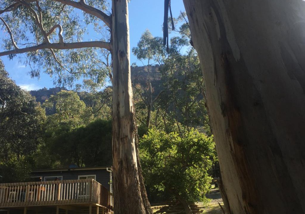Halls Gap Cabin | Grampians Nest