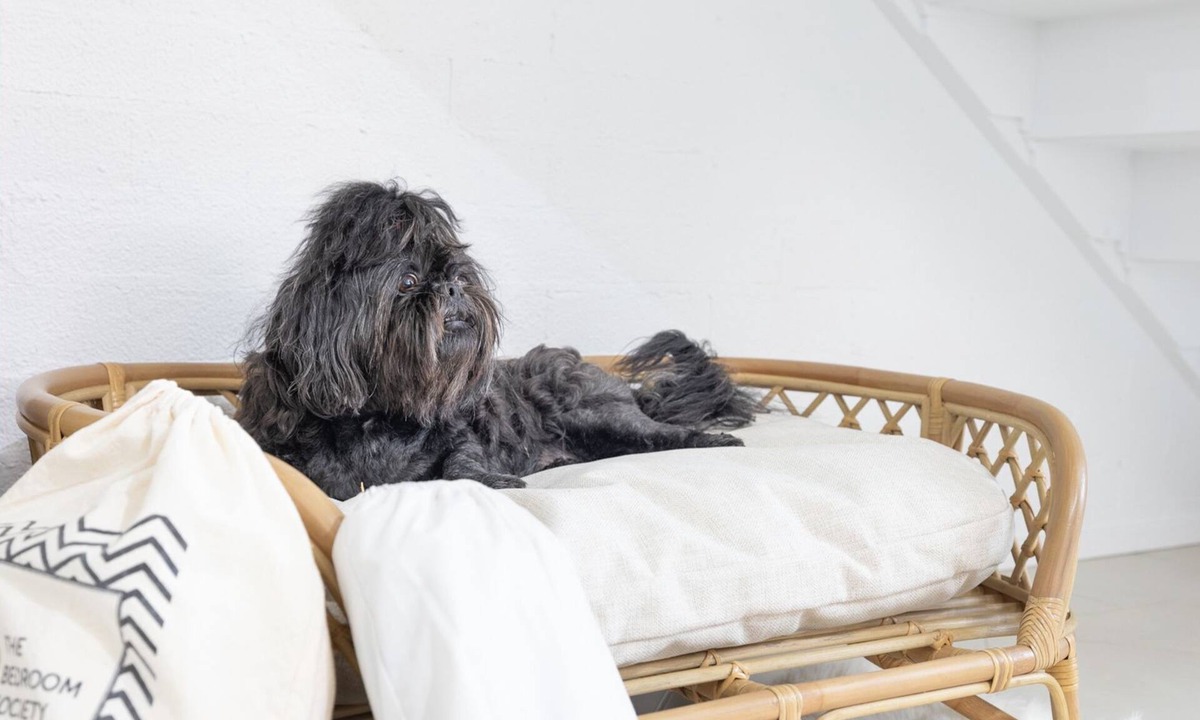 Corlette House | Hanks Corlette House, 49 Pantowora St - pet friendly, air con, boat parking, Wi-Fi