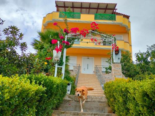Lefkandi Apartment | House with Wonderful View