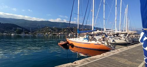 Ikaria Boat Rental | kaisi