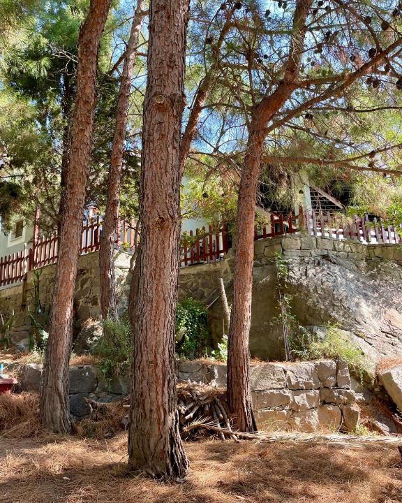 Myrina House | Kalyva Cottage