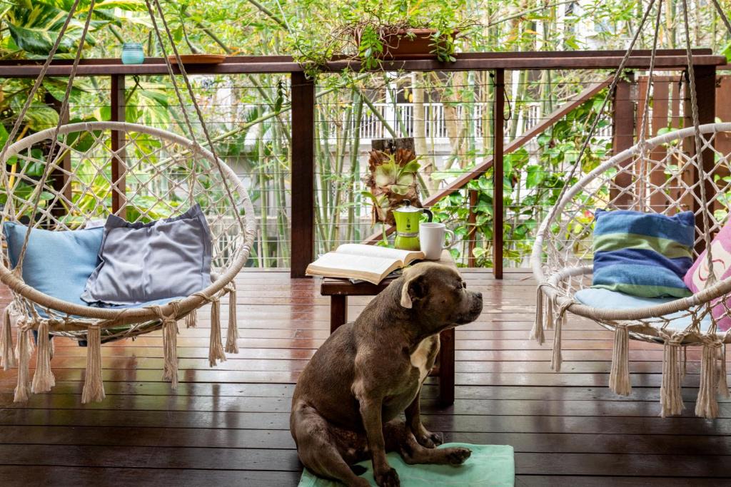 Agnes Water House | Kitesurf 1770 Beach House Stay and Investment Opportunity