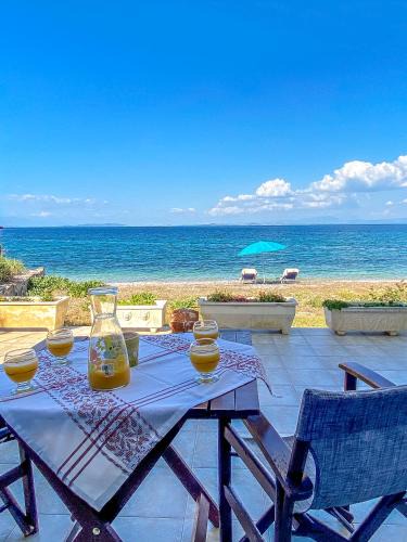 Skala Mistegnon Villa | Kyparissis Beach house 1
