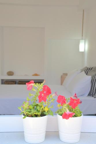 Adamas Apartment | La casa de Zag