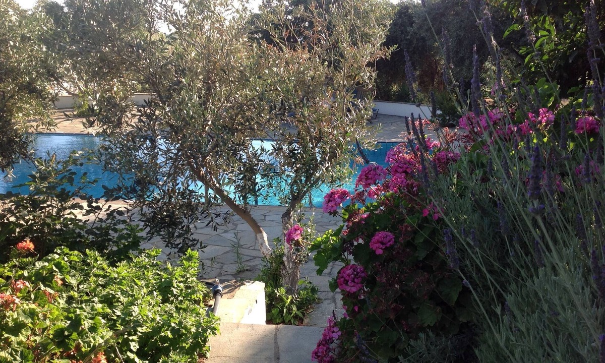 Glinado Villa | Large private pool, beautiful gardens, sleeps 12, short drive to the beach