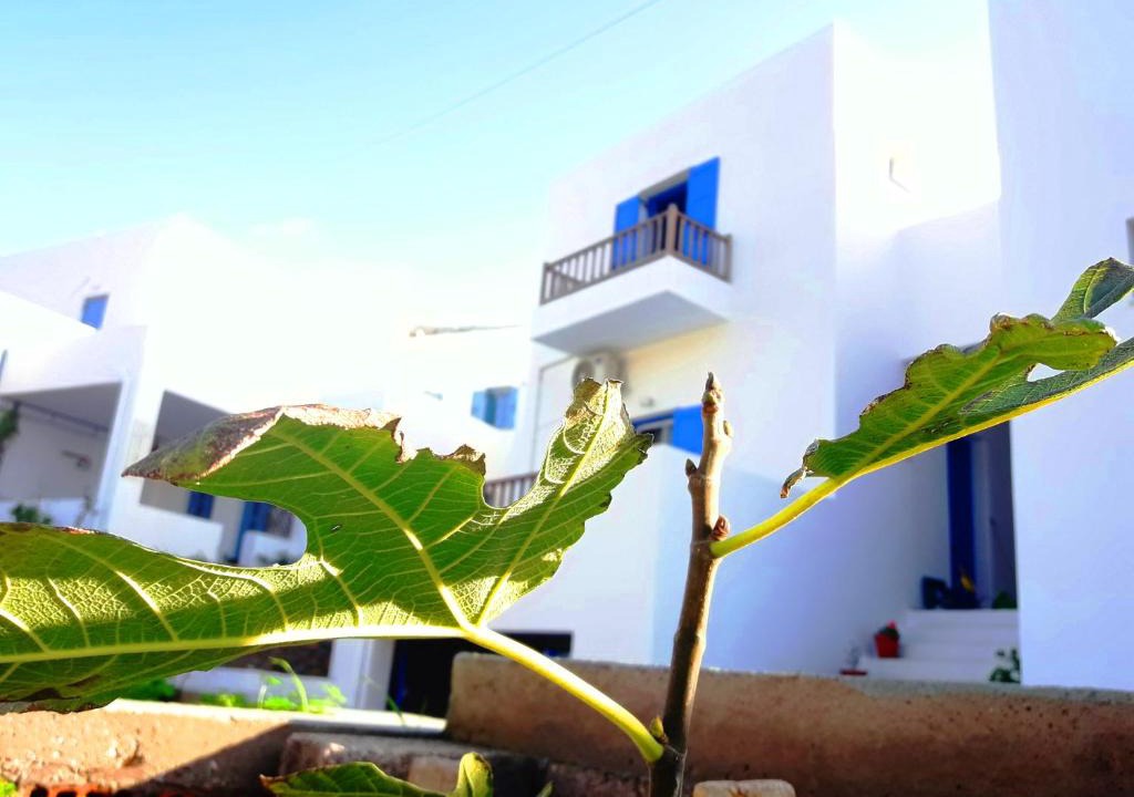 Aegiali House | Larinaki's Studios No3