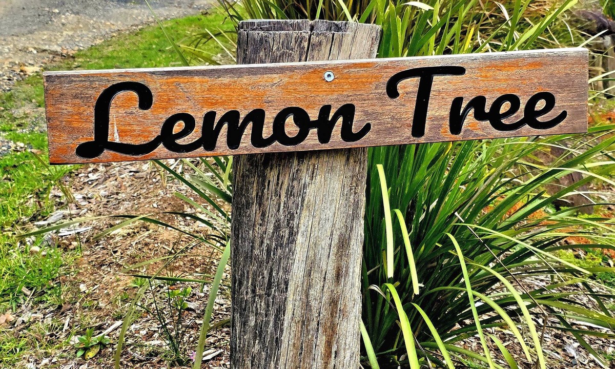 Brooman Cottage | Lemon Tree Cottage - The epitome of relaxation: your own cabin in the woods.
