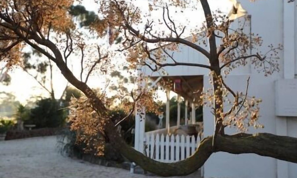 Little River Bed & Breakfast | Little River Bed & Breakfast