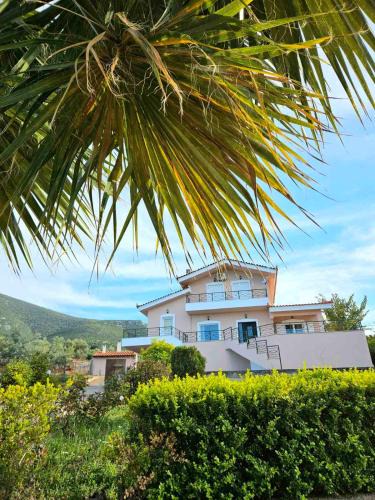 Chalcis Apartment | Loukissia Villa Mare