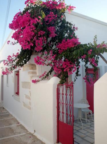 Antiparos Apartment | Margo Antiparos