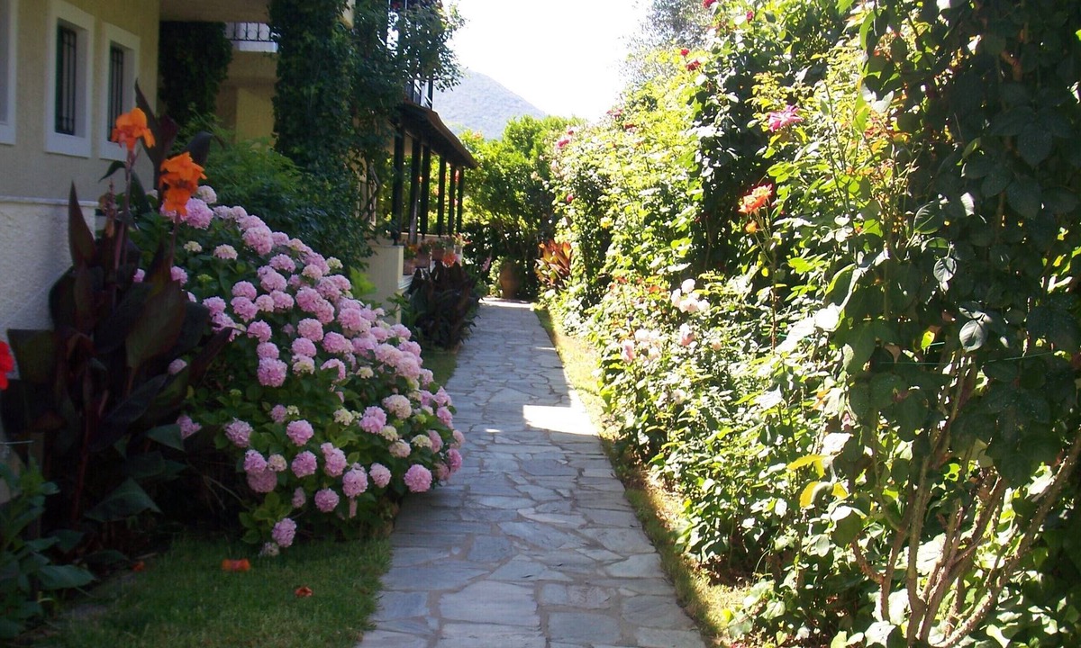 Messonghi Apartment | MAYFLOWER GARDEN STUDIO