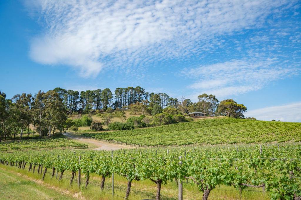 McLaren Flat House | McLaren Vale Getaways
