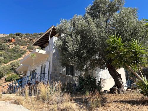 Agia Galini House | Meer an Oliven