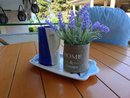 Kamena Vourla Apartment | Melistia in Kamena Vourla