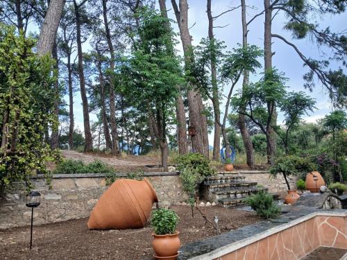Karlovassi Apartment | Melody cottage, Samos